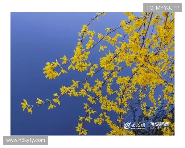 开云入口使用方法步骤指南,逐步教你如何安全便捷地进入平台 开云入口使用方法步骤指南,逐步教你如何安全便捷地进入平台