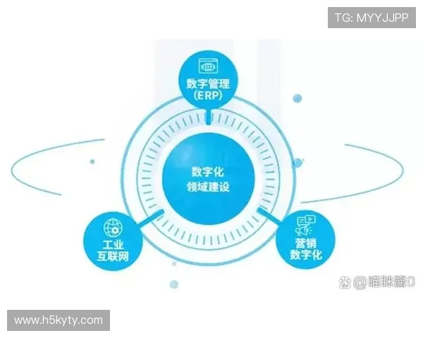 开云电子平台：助力企业数字化转型的创新驱动引擎