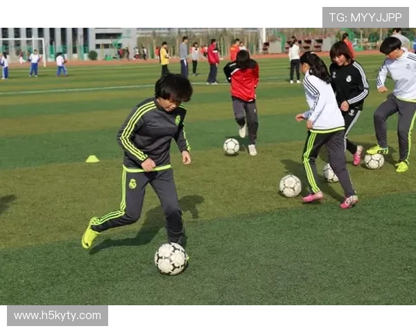 探索开云体育体育平台对年轻一代运动员的支持与培养机制